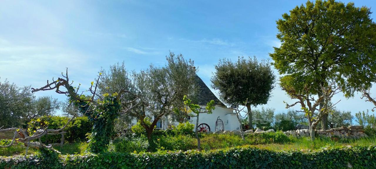 Antico Trullo Immerso Nella Campagna Αλμπερομπέλο Εξωτερικό φωτογραφία