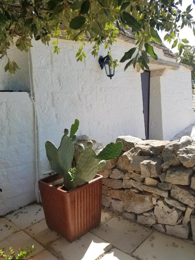 Antico Trullo Immerso Nella Campagna Αλμπερομπέλο Εξωτερικό φωτογραφία