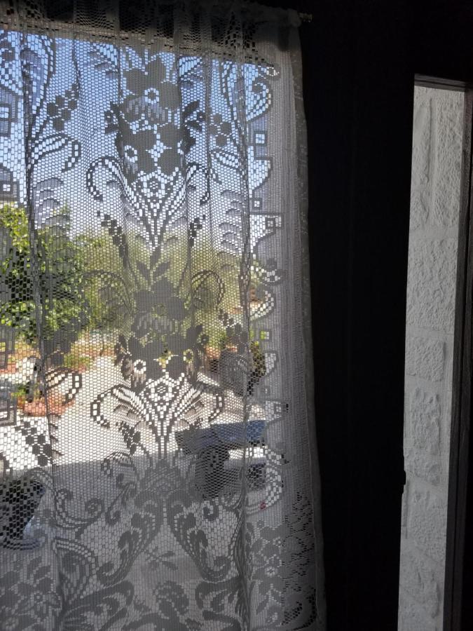 Antico Trullo Immerso Nella Campagna Αλμπερομπέλο Εξωτερικό φωτογραφία